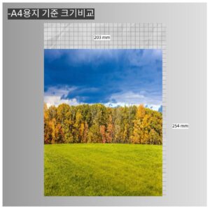 타임픽스 8X10
