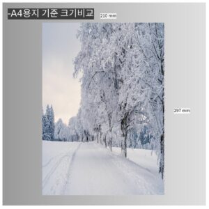 타임픽스 A4